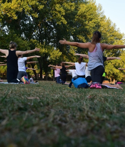 Women Performing Yoga on Green Grass Near Trees