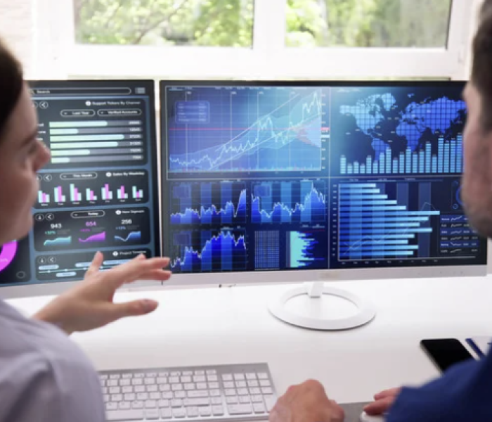 Two people at computer working