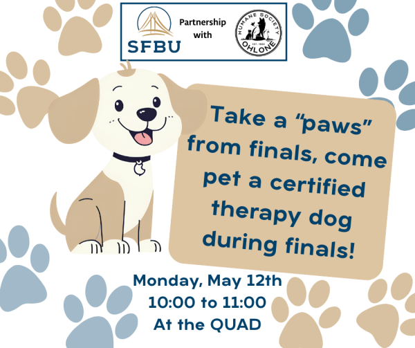 Pet Therapy
